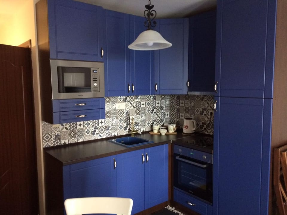 Coffee/tea facilities, Kitchen or kitchenette, minibar, oven, stove