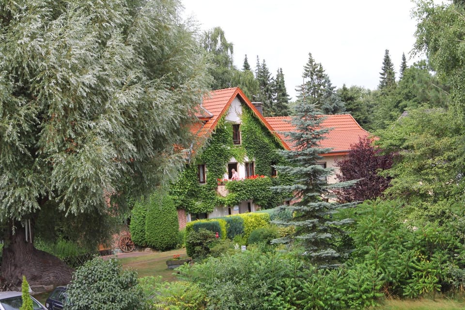 Property building, Garden, Garden view