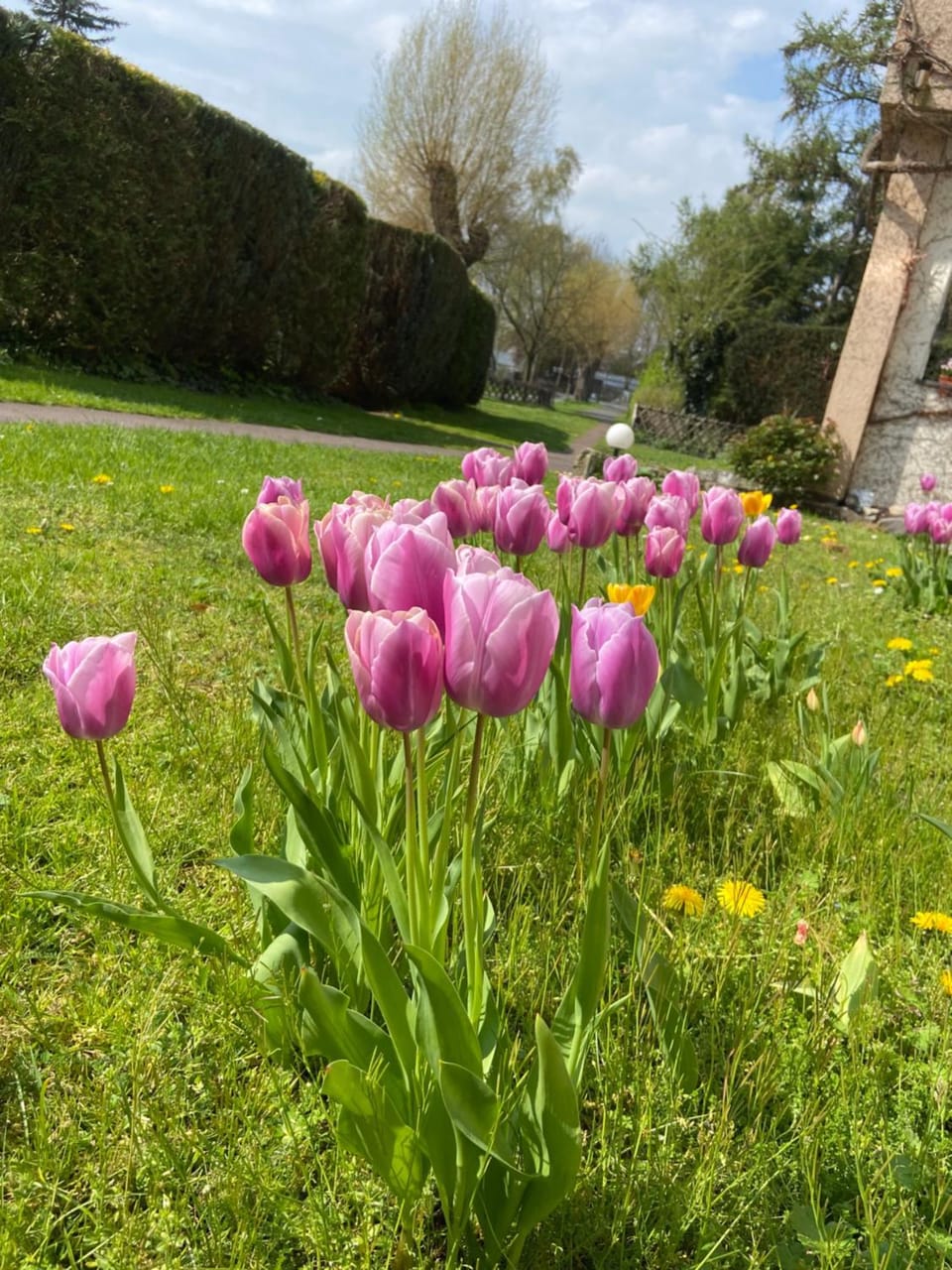 Garden, Garden view