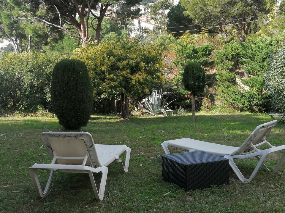 Garden, sunbed