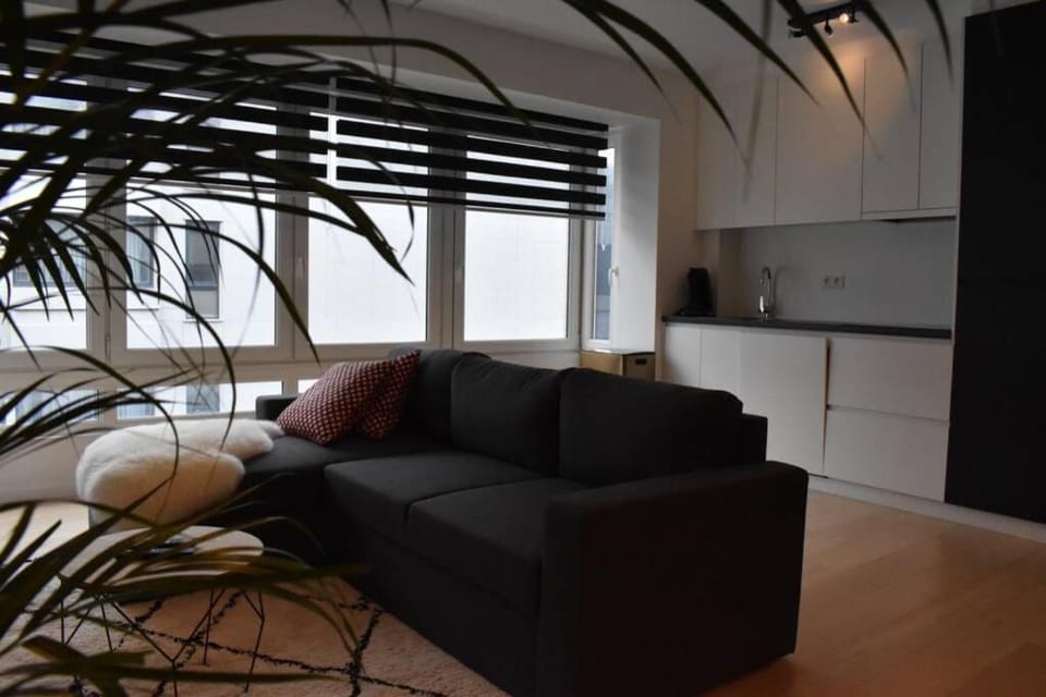 Vernieuwd appartement op 200m van de zee Apartment in Ostend