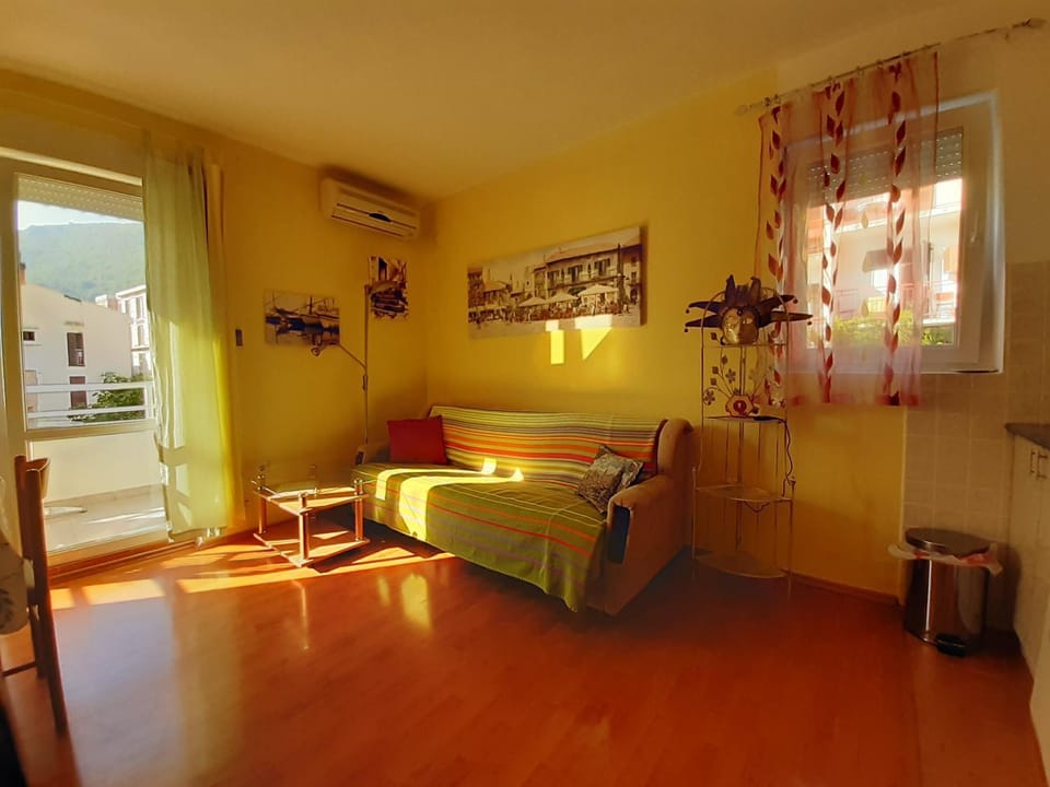 Cozy 1 bedroom flat near Petrovac beach Apartment in Budva Municipality