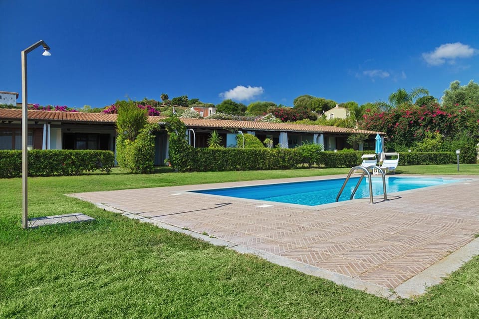 Garden, Garden, Swimming pool, Swimming pool