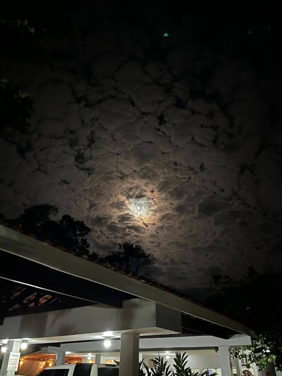 Suites Prime Itamambuca Nature lodge in State of São Paulo
