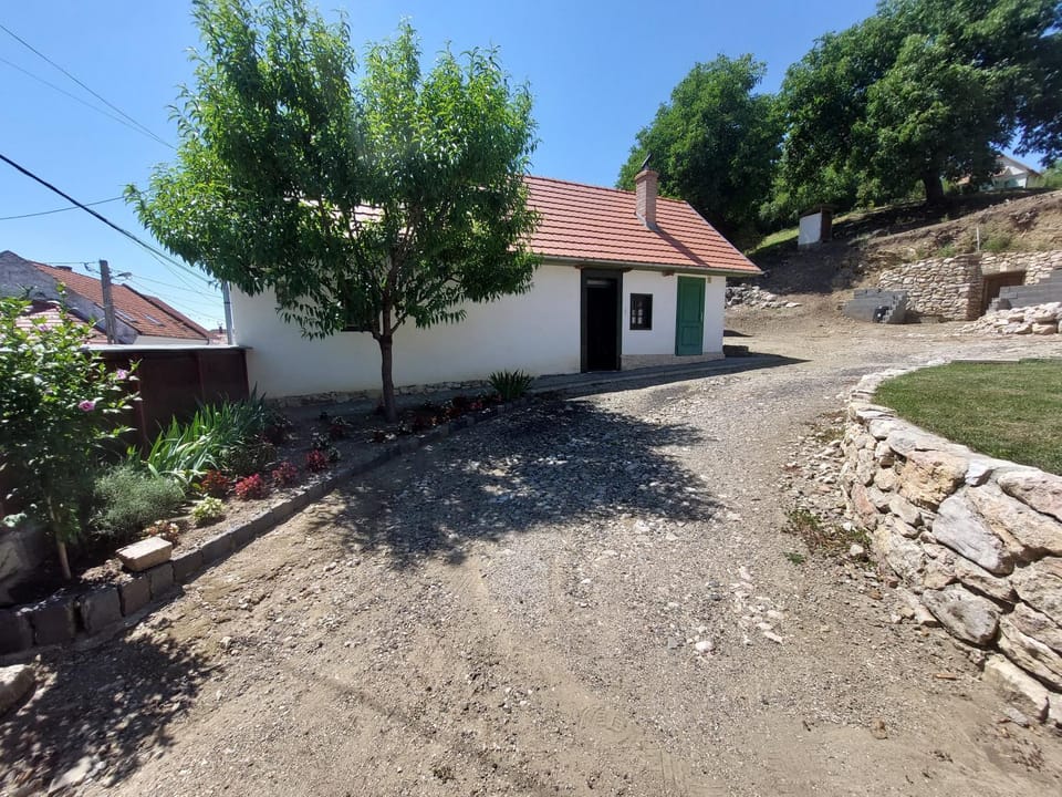 Félix ház House in Cluj County