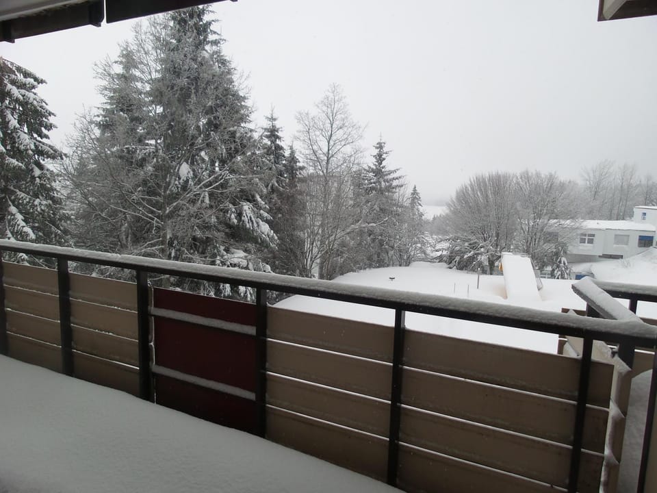 Ferienwohnung mit extra Schlafzimmer und Blick in den Bayrischen Wald oberhalb von Sankt Engelmar Apartment in Straubing-Bogen