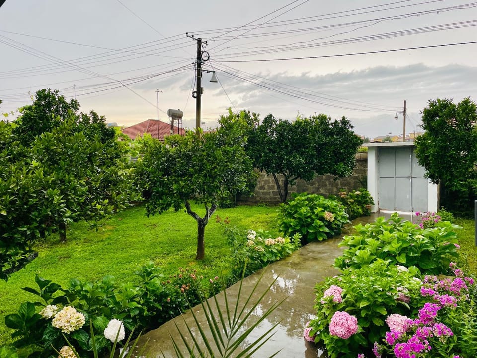 Spring, Day, Natural landscape, Garden, Garden view