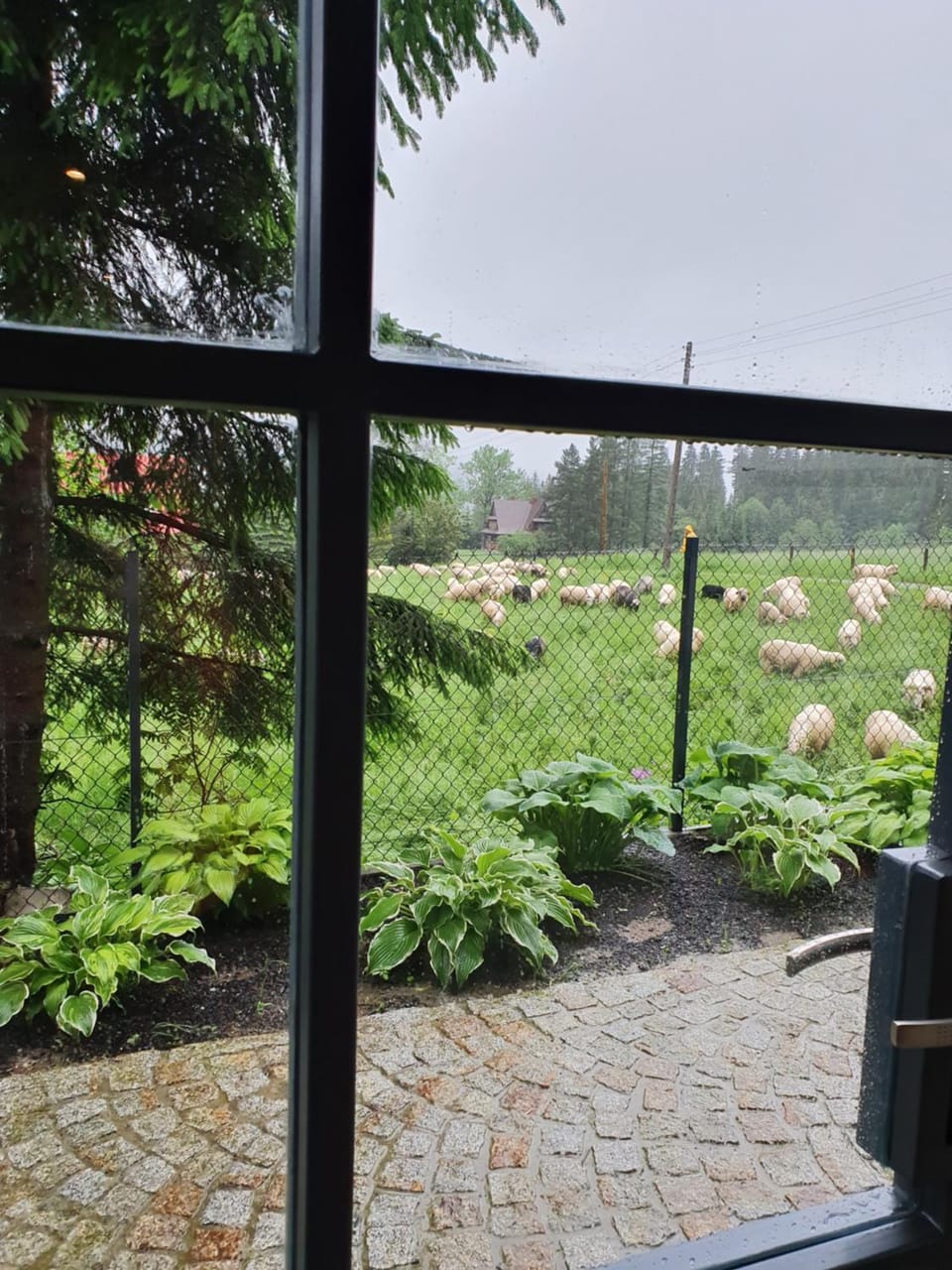 Pokoje na Buńdówkach Vacation rental in Zakopane
