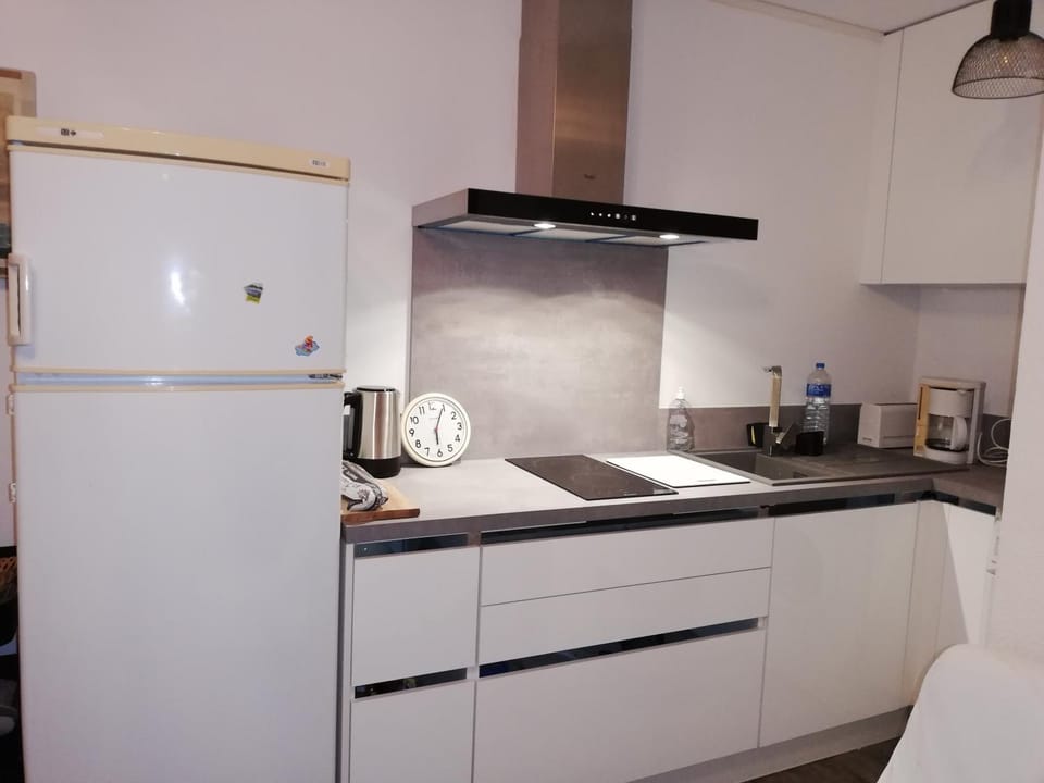 Appartement avec terrasse Apartment in Saint-Cyprien