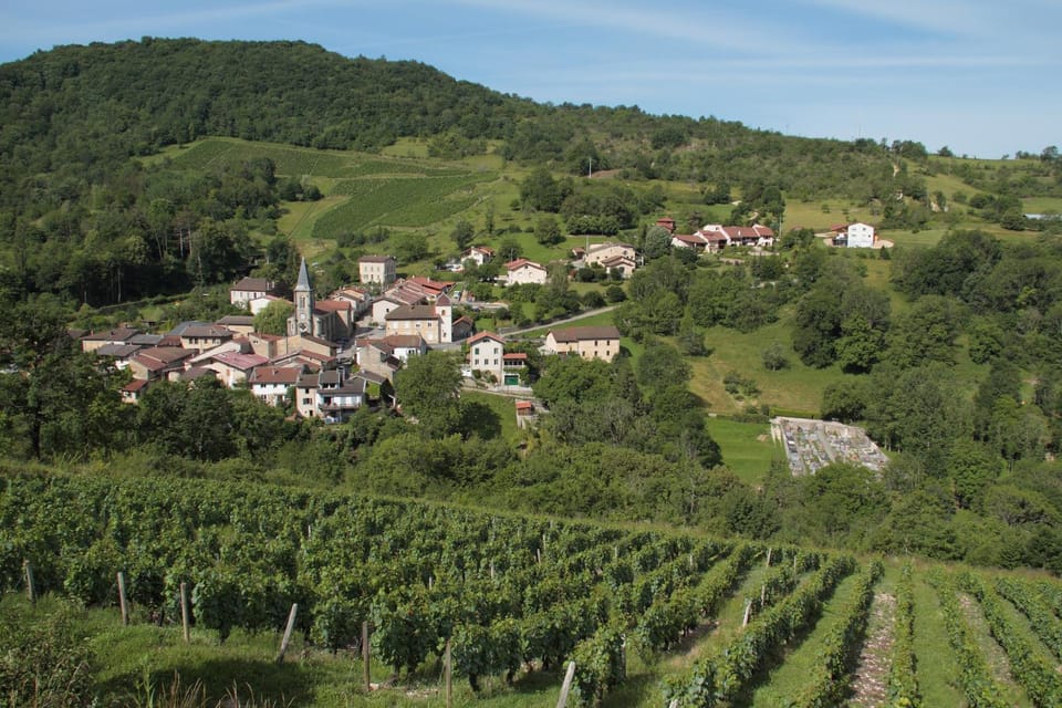 Les Granges de la Forêt House in Auvergne-Rhône-Alpes