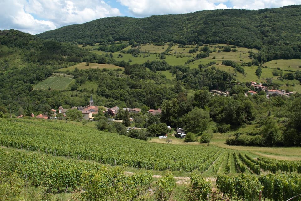 Les Granges de la Forêt House in Auvergne-Rhône-Alpes