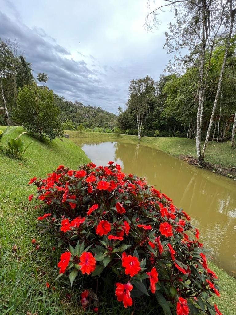 Natural landscape, Garden, Garden view, Lake view