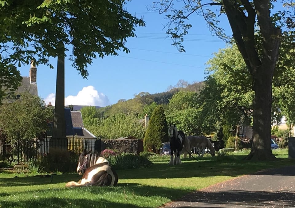 YETHOLM BOTHY Apartment in England