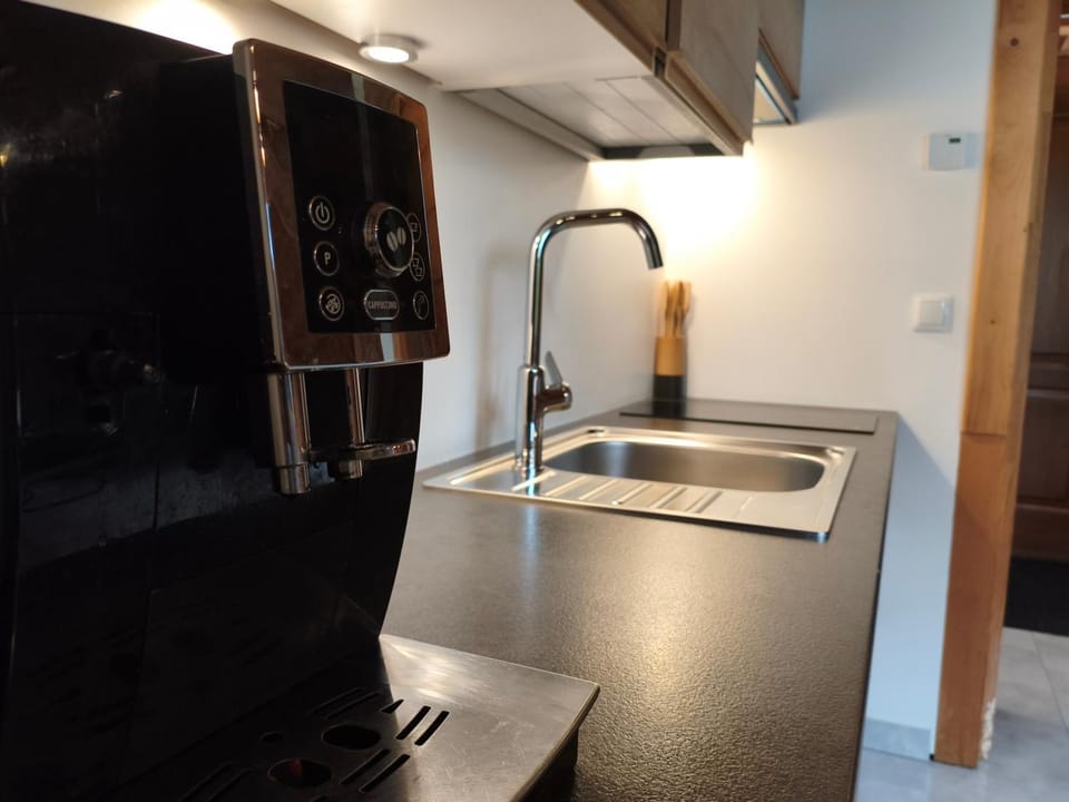 Apartamenty regionalne Skalny Potok Apartment in Zakopane