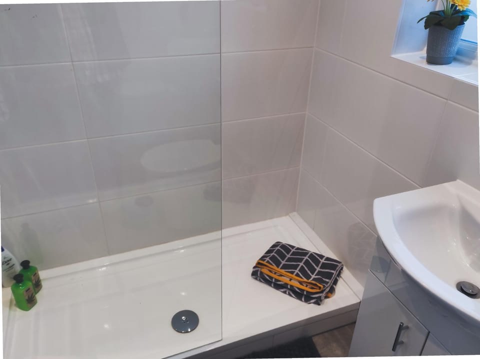 Pet-Friendly Victorian, Free Parking, Workspace House in Colchester