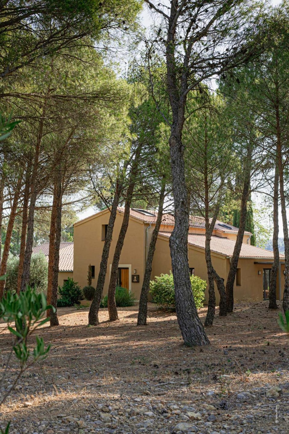 Natural landscape, Garden view