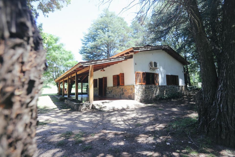 Property building, Patio, Garden
