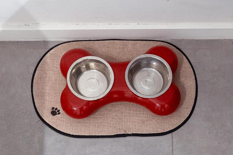 pet friendly