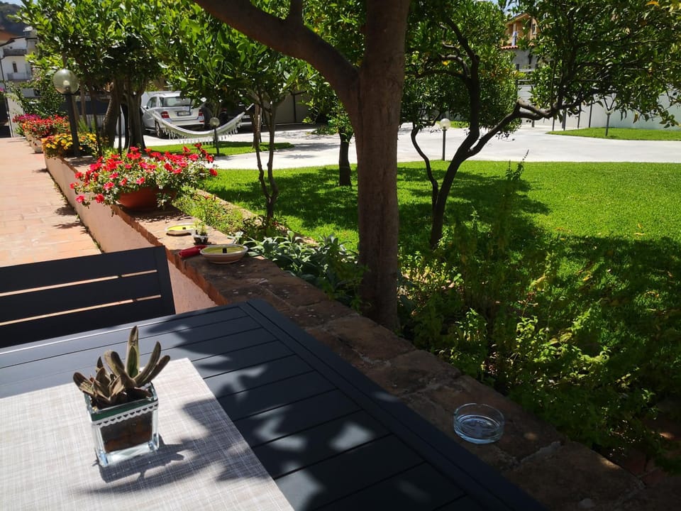 Natural landscape, Garden, Garden view