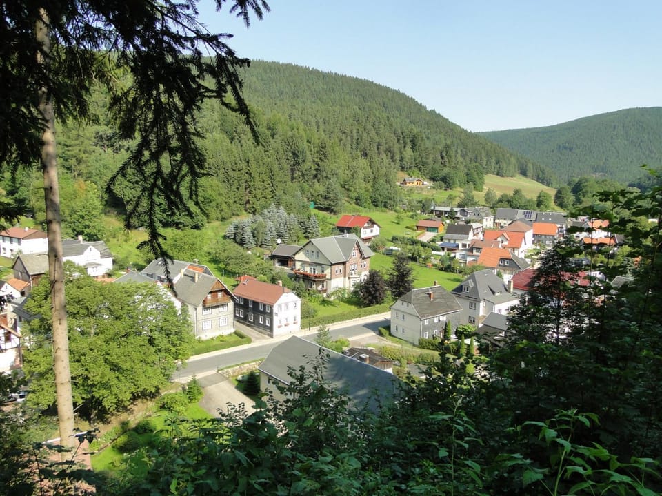 Staff, Bird's eye view