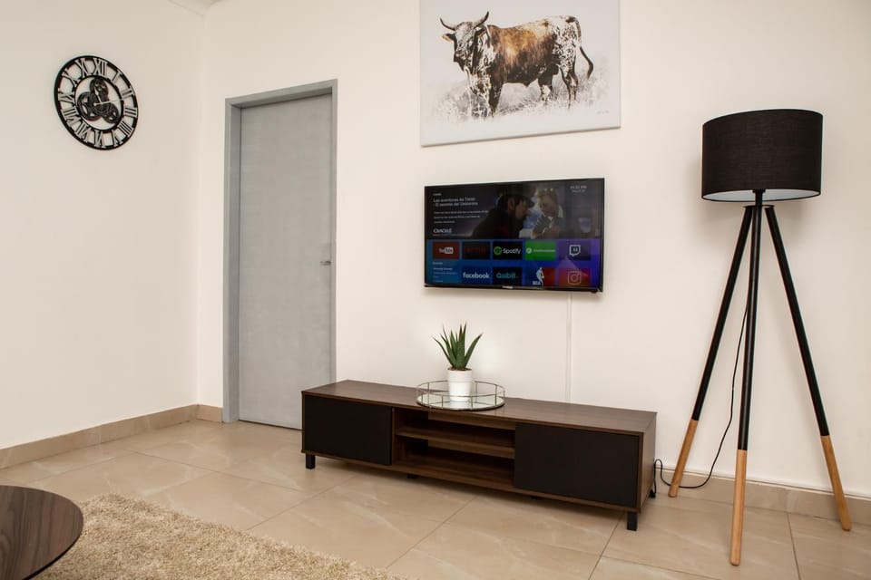 TV and multimedia