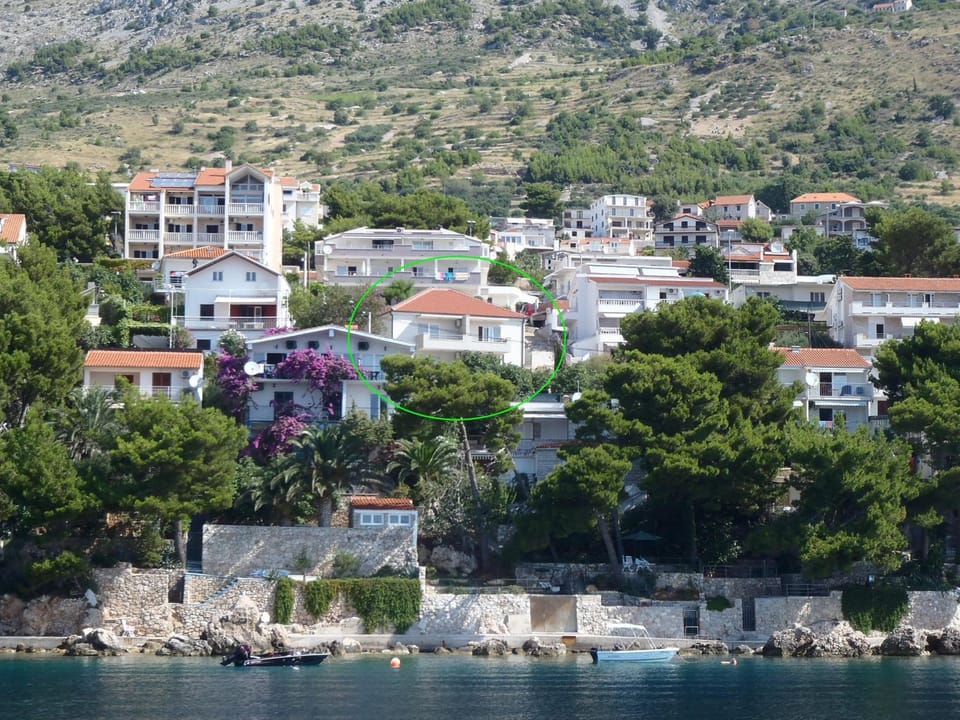 Bird's eye view, Other