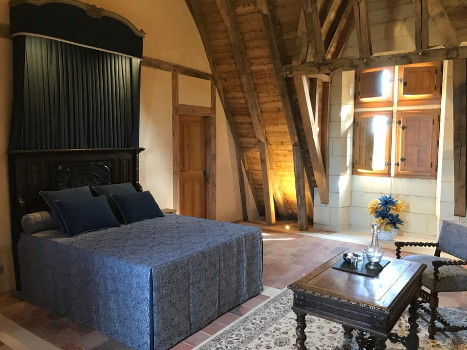 Chateau Manoir de Chandoiseau Bed and Breakfast in Les Trois-Moutiers