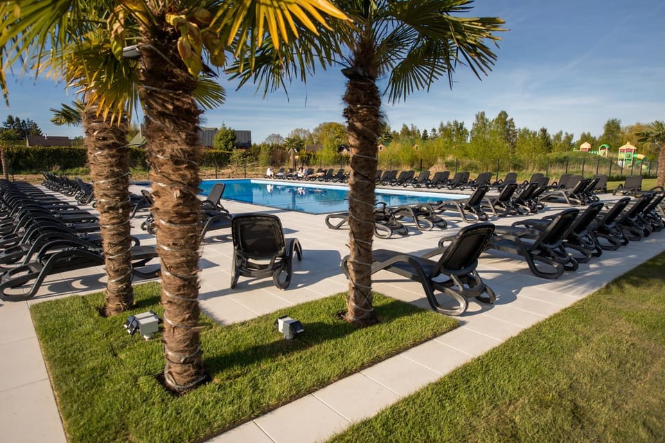 Day, Pool view, Swimming pool, sunbed