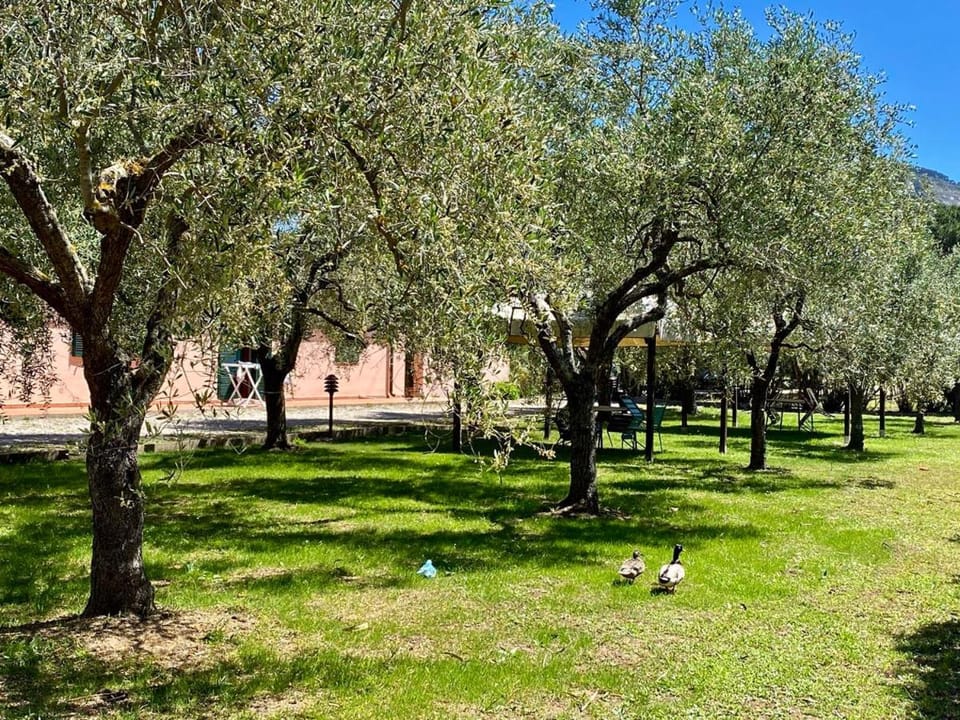 Garden, Garden view