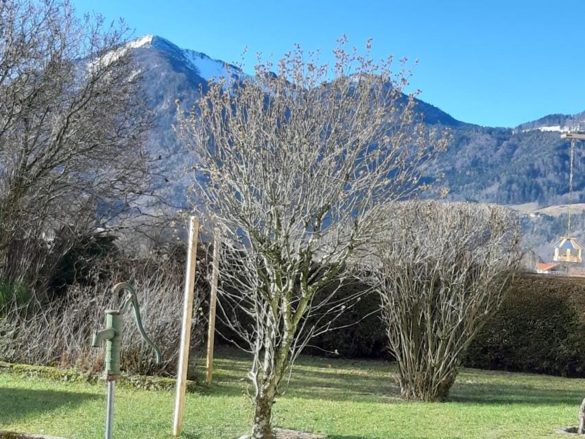 Haus Polleichtner Apartment in Grassau