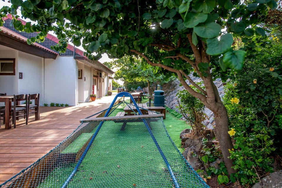 Patio, Garden