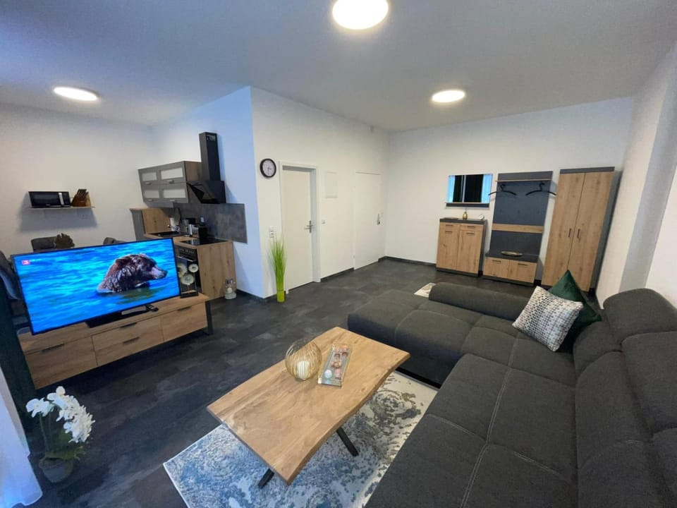 Mariposa 5 incl Pool & Sauna Apartment in Goslar