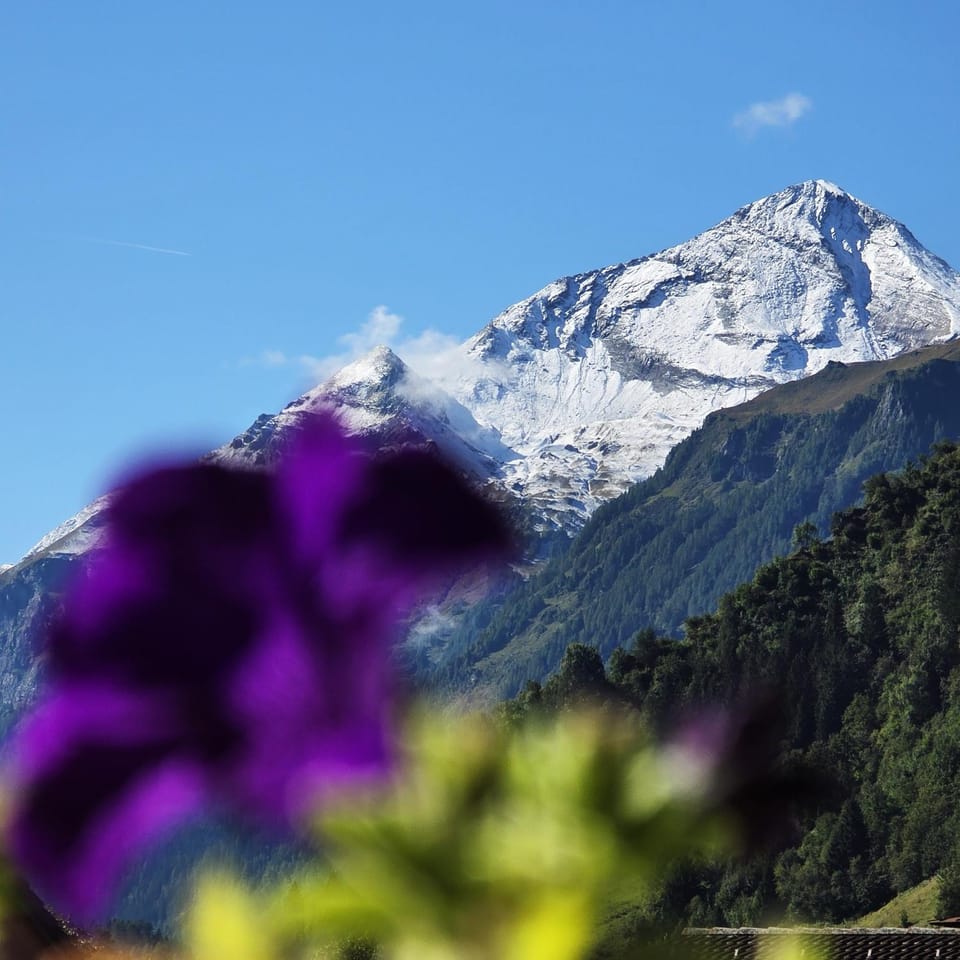 Ritterhof Apartment inkl Hohe Tauern Sommercard Apartment in Salzburgerland