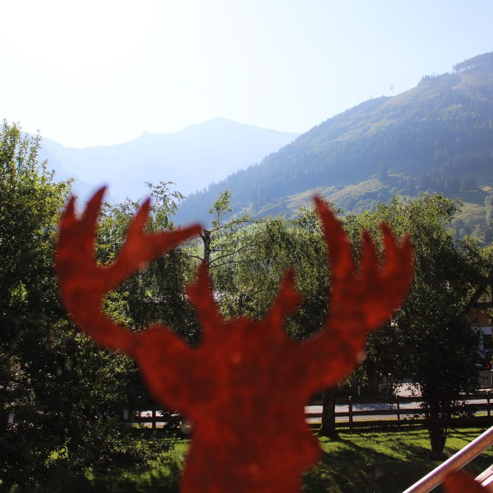 Ritterhof Apartment inkl Hohe Tauern Sommercard Apartment in Salzburgerland