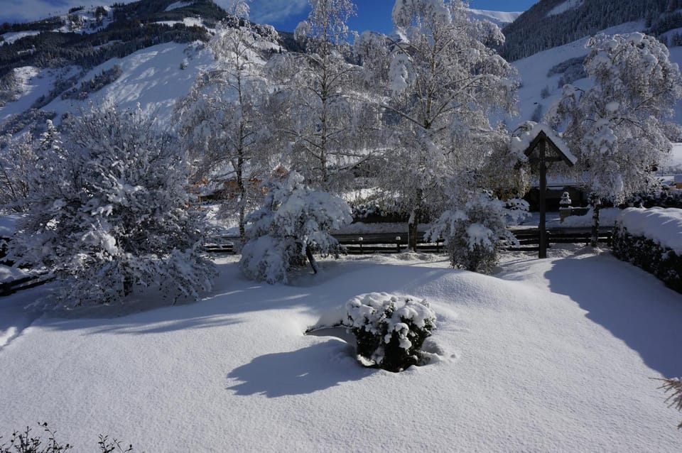 Ritterhof Apartment inkl Hohe Tauern Sommercard Apartment in Salzburgerland