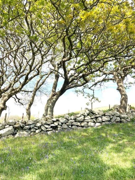 Cwt y Bugail Campground/ 
RV Resort in Wales