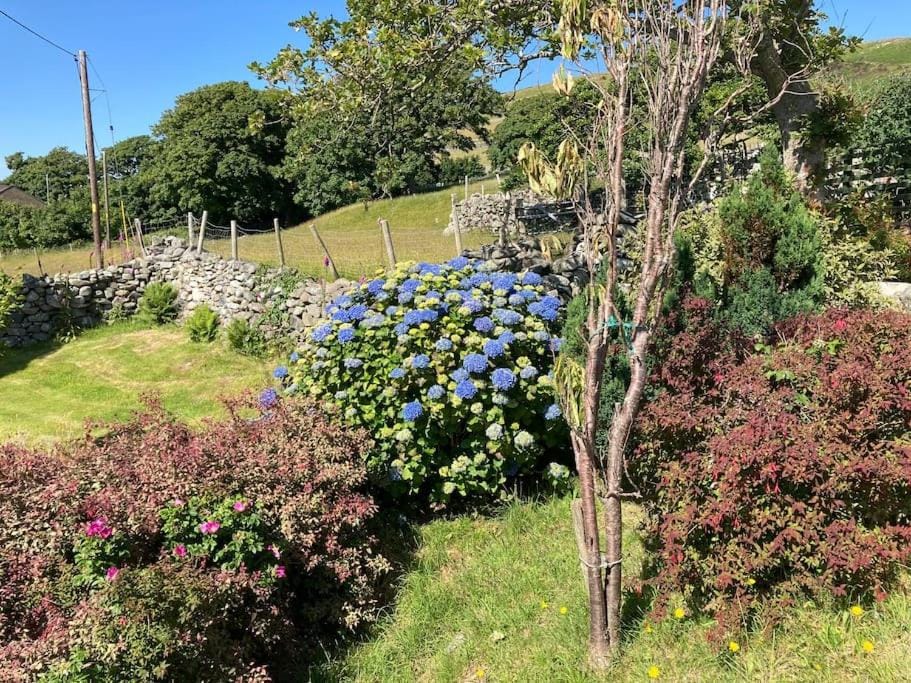 Cwt y Bugail Campground/ 
RV Resort in Wales