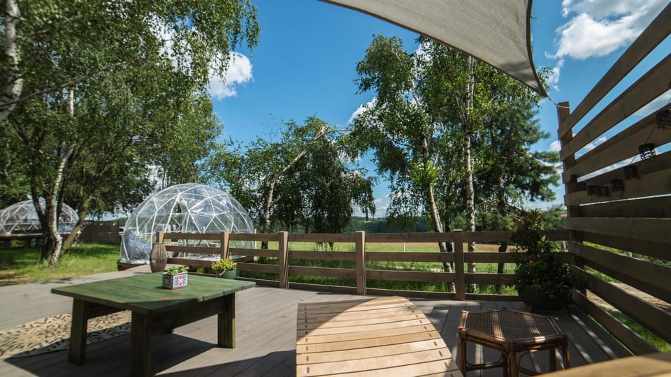 View (from property/room), Garden view