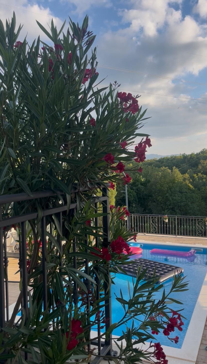 Holiday Home Calma Villa in Split-Dalmatia County