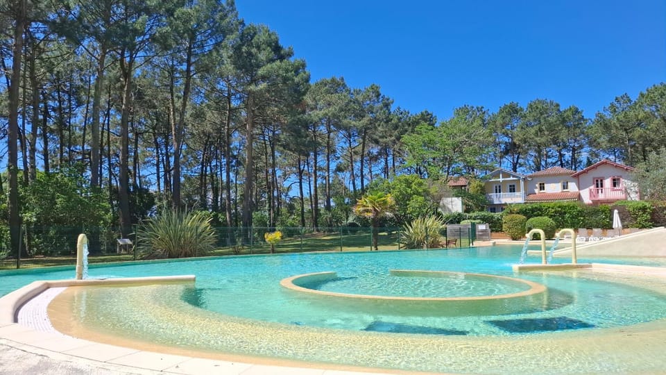 Natural landscape, Pool view, Swimming pool, sunbed