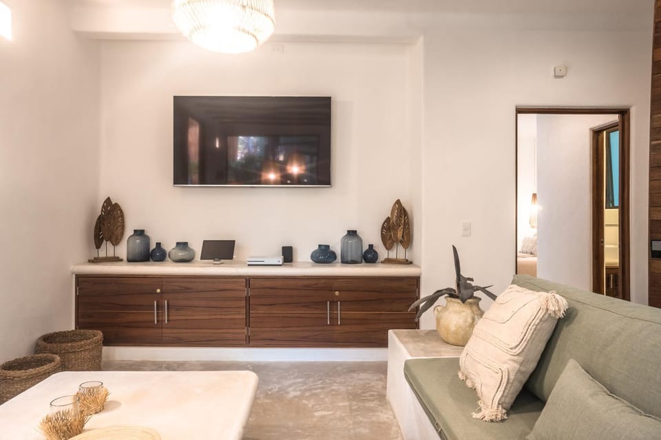 TV and multimedia