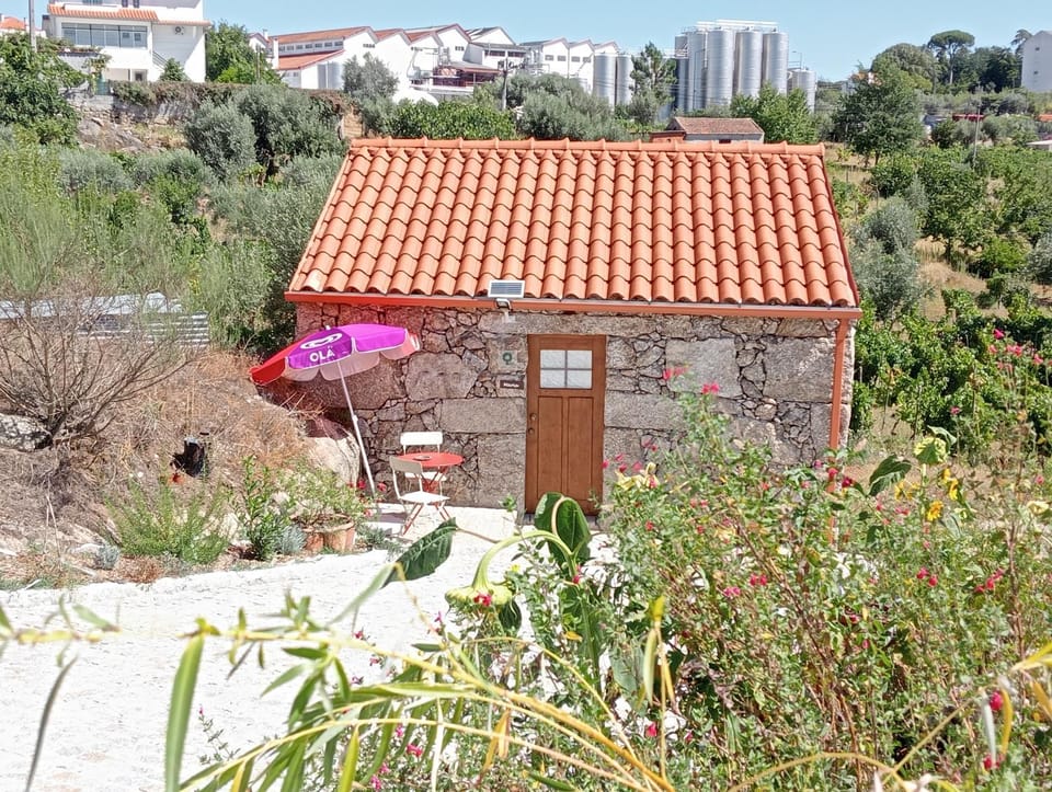 Property building, Spring