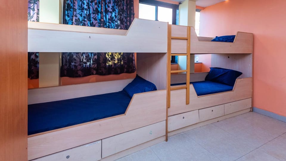 Bed, Photo of the whole room, Bedroom, bunk bed