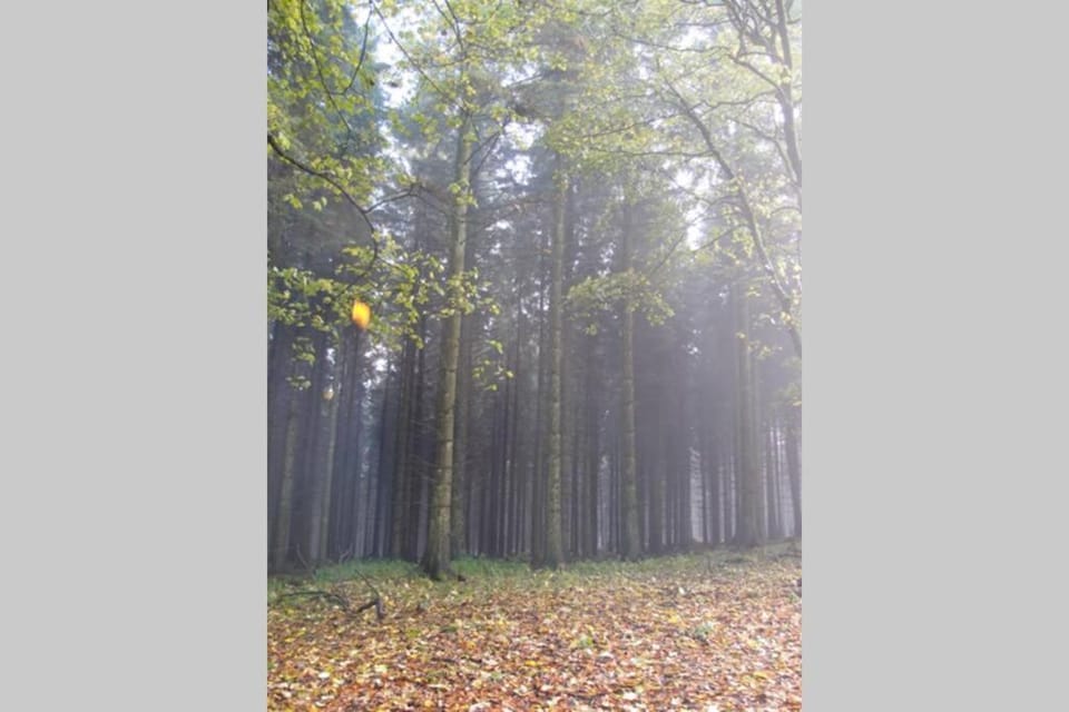 Natural landscape, Hiking