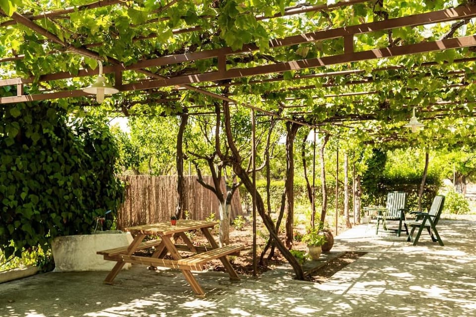 Mansion of 120 m2, with high ceilings and big yard House in Peloponnese Region