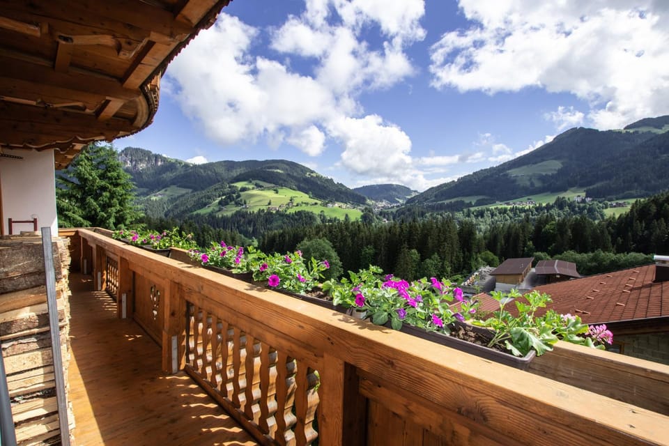 Gittis Ferienwohnung Panorama WILD31 Apartment in Tyrol