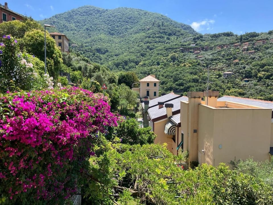 Acqua Marina Apartment in Camogli