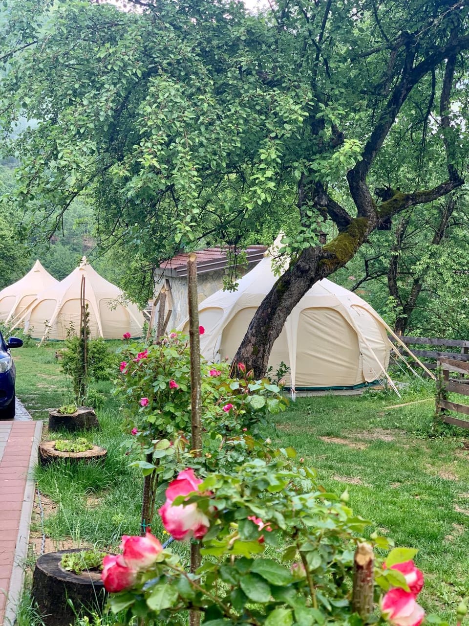Glamping Zvjezdana dolina Luxury tent in Montenegro