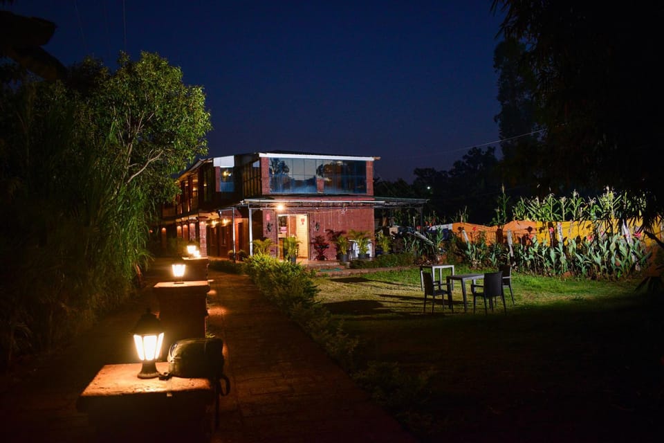 Night, Garden