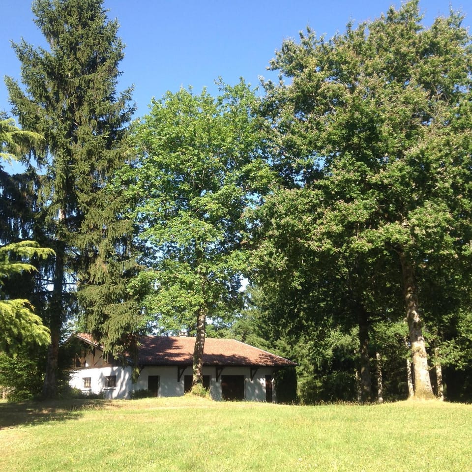 Property building, Garden